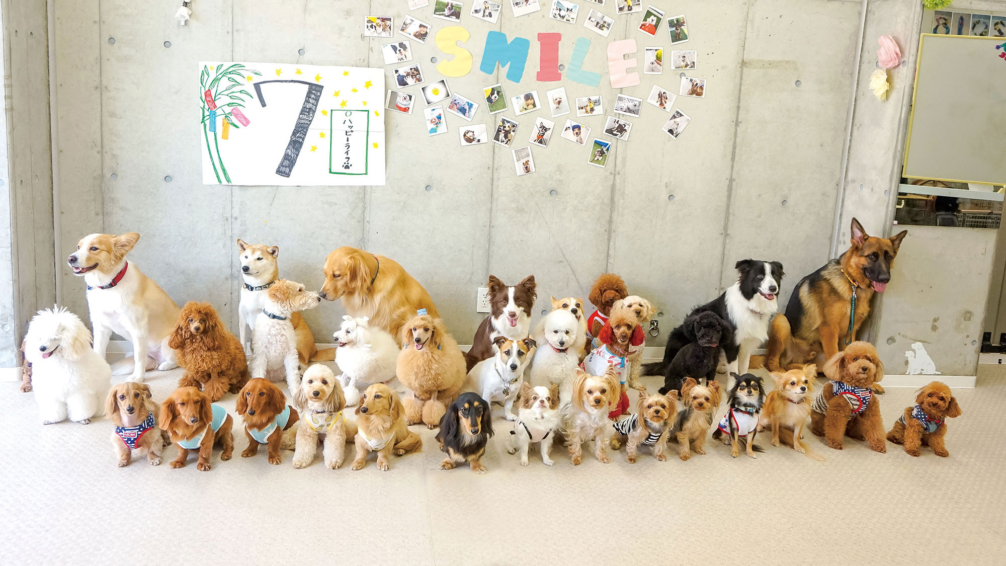 東京ブレーメン動物専門学校 動物のプロを目指すなら ブレーメンへ お部屋探しはminimini ミニミニ で