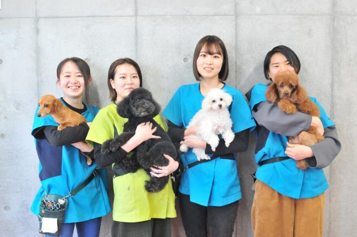 東京ブレーメン動物専門学校 動物のプロを目指すなら ブレーメンへ お部屋探しはminimini ミニミニ で